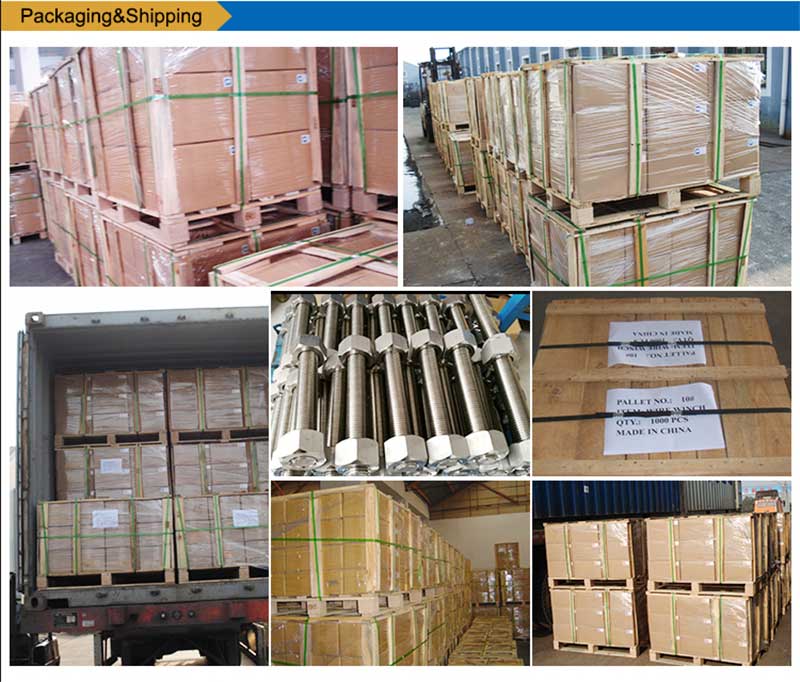 స్టెయిన్లెస్-స్టీల్ జాబితా బోల్ట్స్-స్క్రూ వేగవంతమైన-ప్యాకింగ్